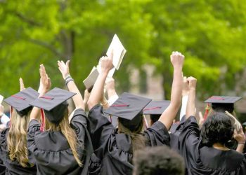 الشباب العربي وسوق العمل: فجوة بين التعليم والفرص