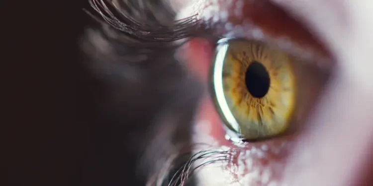 دراسة تكشف.. العين قد تكشف الخرف قبل 12 عامًا